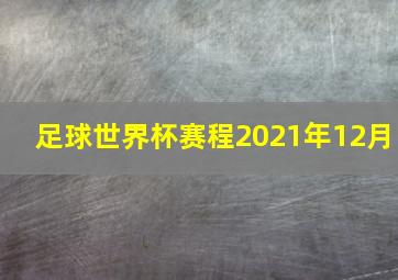 足球世界杯赛程2021年12月