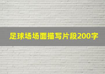 足球场场面描写片段200字