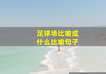 足球场比喻成什么比喻句子