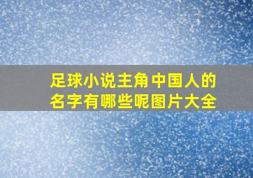 足球小说主角中国人的名字有哪些呢图片大全