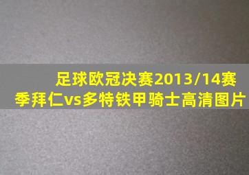 足球欧冠决赛2013/14赛季拜仁vs多特铁甲骑士高清图片