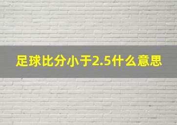 足球比分小于2.5什么意思