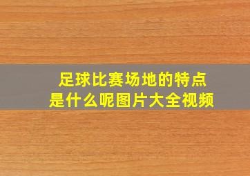 足球比赛场地的特点是什么呢图片大全视频