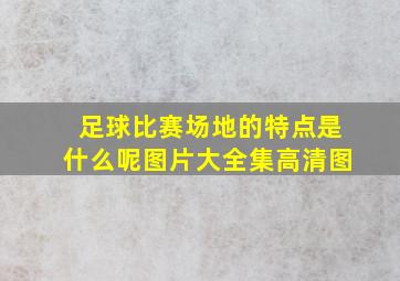 足球比赛场地的特点是什么呢图片大全集高清图