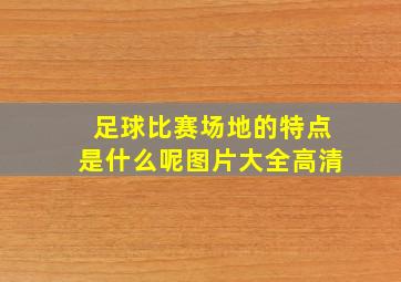 足球比赛场地的特点是什么呢图片大全高清