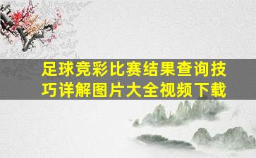 足球竞彩比赛结果查询技巧详解图片大全视频下载