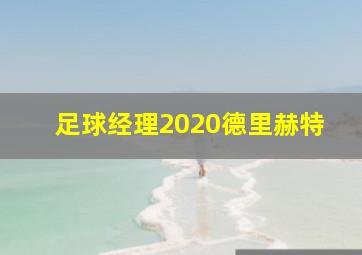 足球经理2020德里赫特