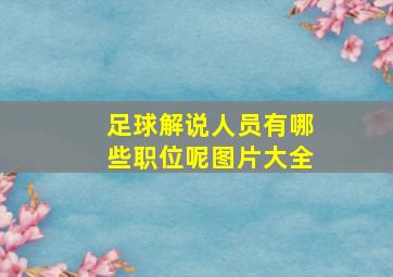 足球解说人员有哪些职位呢图片大全