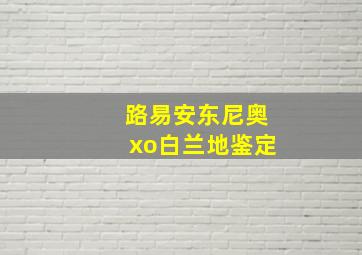 路易安东尼奥xo白兰地鉴定