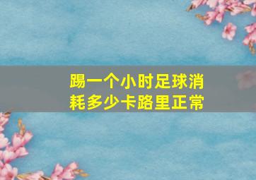 踢一个小时足球消耗多少卡路里正常