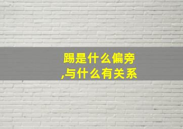 踢是什么偏旁,与什么有关系