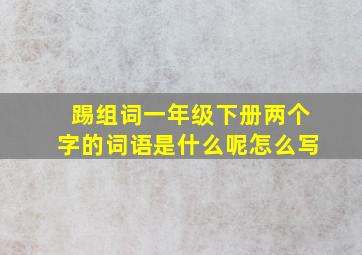 踢组词一年级下册两个字的词语是什么呢怎么写