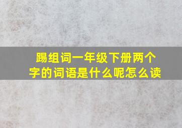 踢组词一年级下册两个字的词语是什么呢怎么读