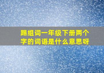 踢组词一年级下册两个字的词语是什么意思呀