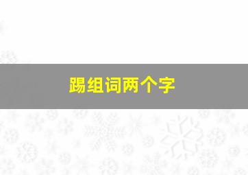 踢组词两个字