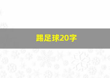 踢足球20字