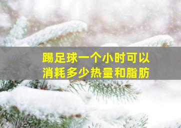 踢足球一个小时可以消耗多少热量和脂肪