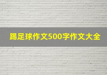 踢足球作文500字作文大全