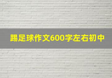 踢足球作文600字左右初中