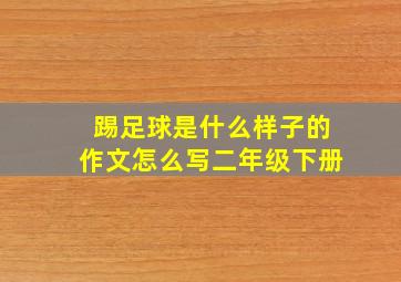 踢足球是什么样子的作文怎么写二年级下册