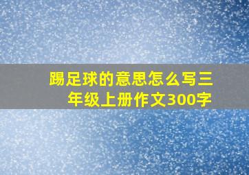 踢足球的意思怎么写三年级上册作文300字