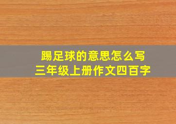 踢足球的意思怎么写三年级上册作文四百字