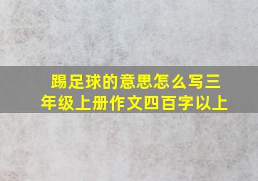 踢足球的意思怎么写三年级上册作文四百字以上