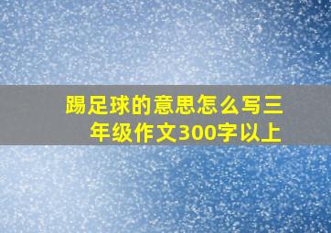 踢足球的意思怎么写三年级作文300字以上