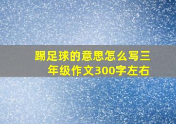 踢足球的意思怎么写三年级作文300字左右