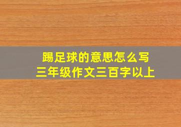 踢足球的意思怎么写三年级作文三百字以上