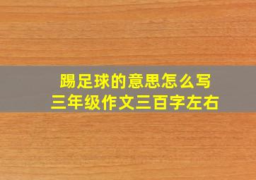 踢足球的意思怎么写三年级作文三百字左右