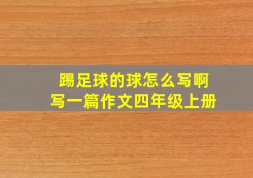 踢足球的球怎么写啊写一篇作文四年级上册