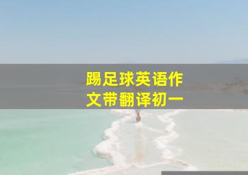 踢足球英语作文带翻译初一