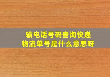 输电话号码查询快递物流单号是什么意思呀