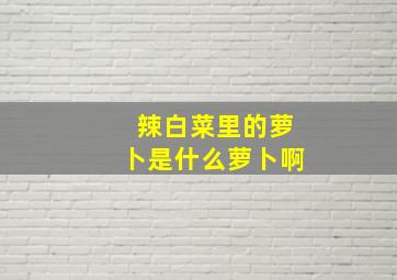 辣白菜里的萝卜是什么萝卜啊