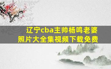 辽宁cba主帅杨鸣老婆照片大全集视频下载免费