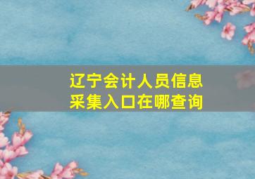 辽宁会计人员信息采集入口在哪查询