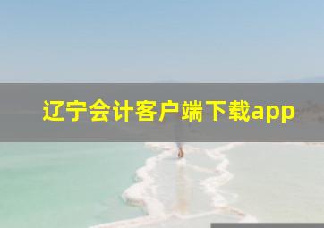 辽宁会计客户端下载app