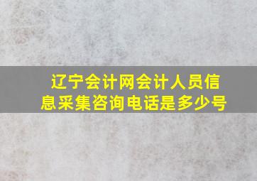 辽宁会计网会计人员信息采集咨询电话是多少号