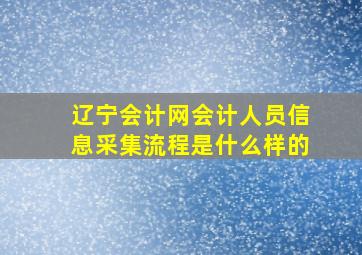 辽宁会计网会计人员信息采集流程是什么样的