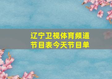 辽宁卫视体育频道节目表今天节目单