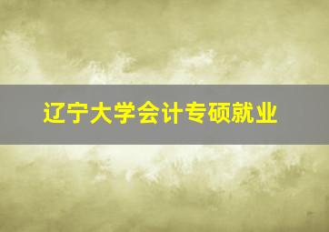 辽宁大学会计专硕就业