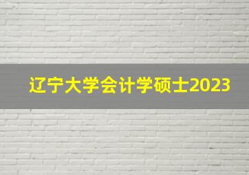 辽宁大学会计学硕士2023