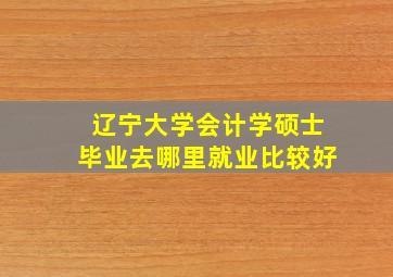 辽宁大学会计学硕士毕业去哪里就业比较好