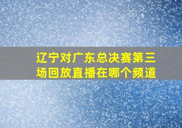 辽宁对广东总决赛第三场回放直播在哪个频道