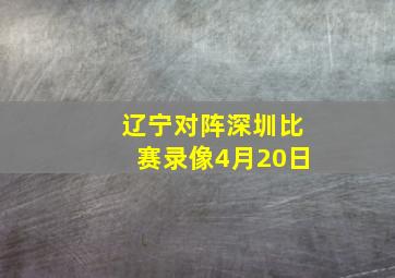 辽宁对阵深圳比赛录像4月20日