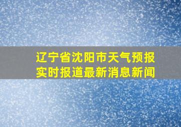 辽宁省沈阳市天气预报实时报道最新消息新闻