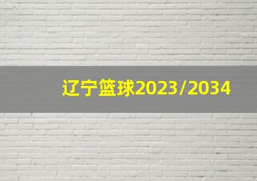 辽宁篮球2023/2034