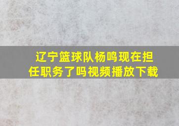 辽宁篮球队杨鸣现在担任职务了吗视频播放下载