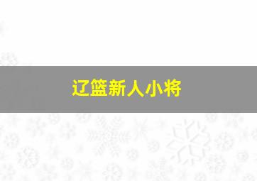 辽篮新人小将